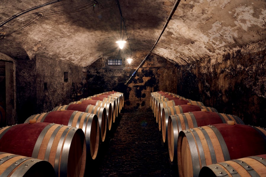 Keller des Weinguts Bachtobel