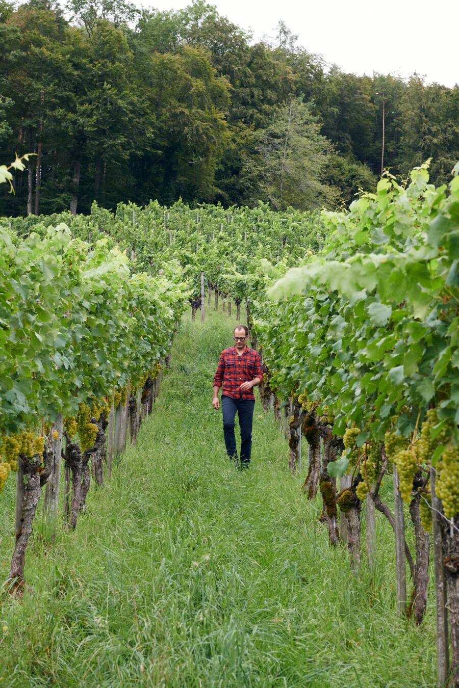 Schlossherr Johannes Meier