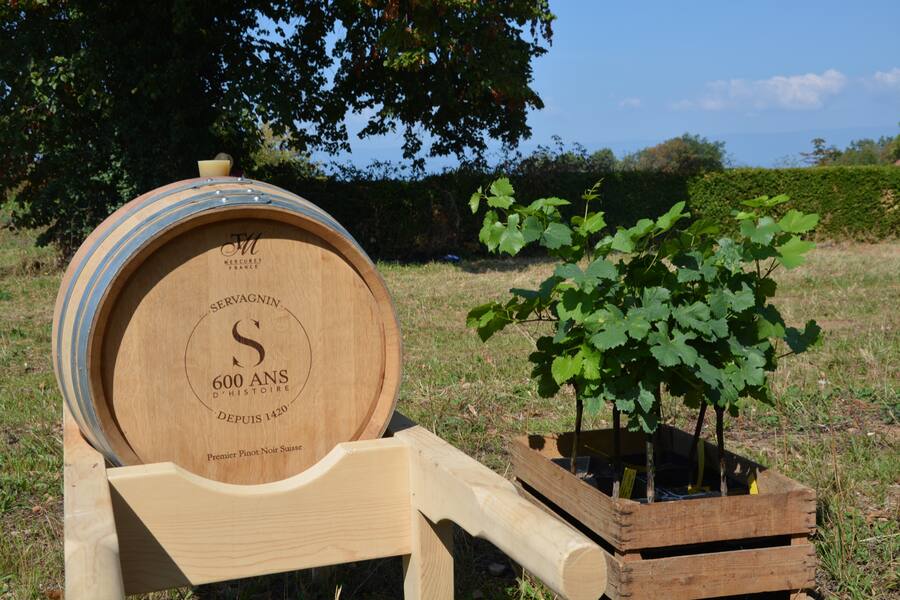 Servagnin largeur OK