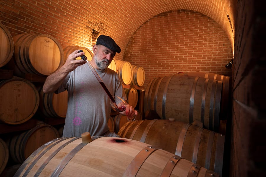 Giorgio Rossi im Barriquekeller,Sementina, Tessin,Ticino, Schweiz, Suisse, Svizzera,Switzerland,