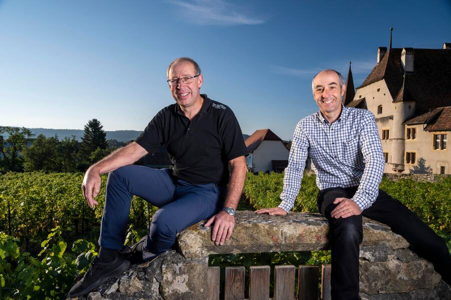 Cave des Lauriers, Jungo, Fellmann, Drei Seen Land, Winzer © Hans-Peter Siffert
