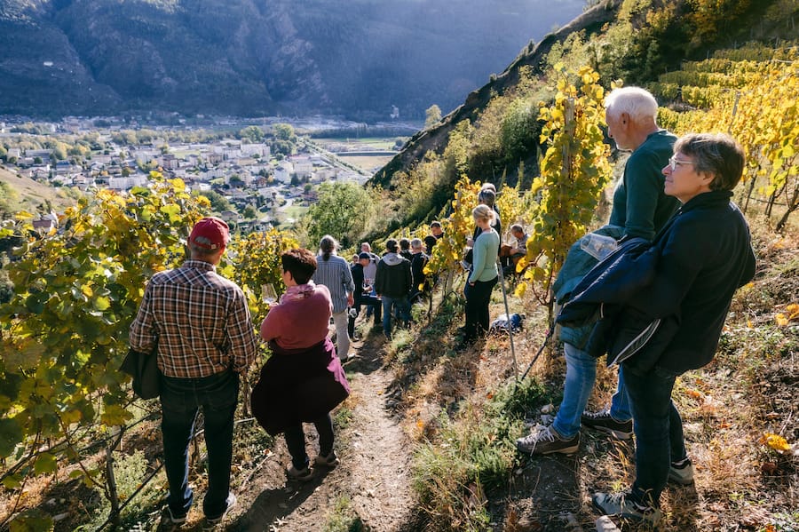 Porträt von Isabella & Stéphane Kellenberger, aber auch von José Vouillamoz sowie Stimmungsfotos von der Veranstaltung. Completer Cave Vin d'oeuvre