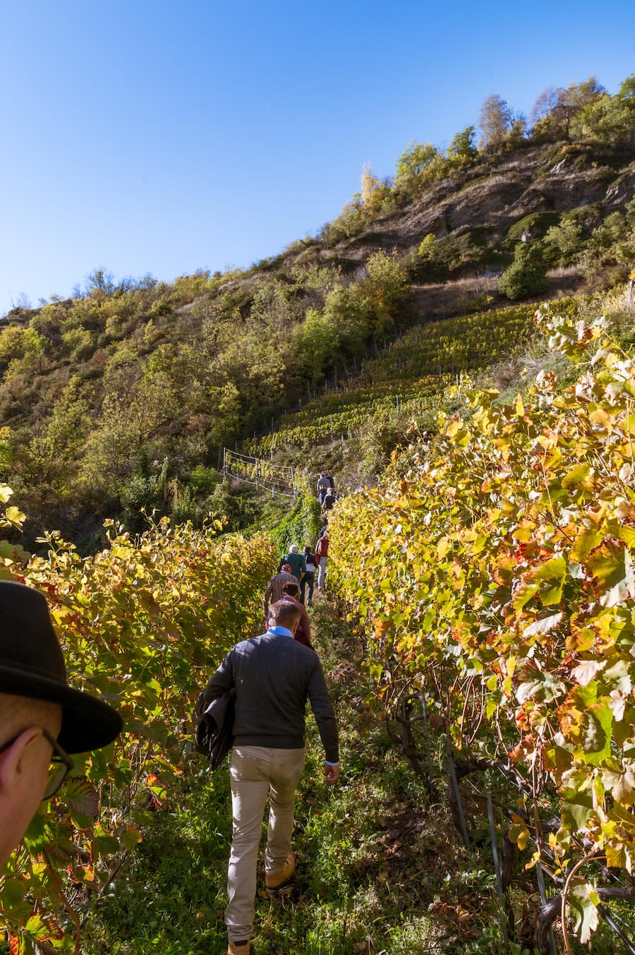 Porträt von Isabella & Stéphane Kellenberger, aber auch von José Vouillamoz sowie Stimmungsfotos von der Veranstaltung. Completer Cave Vin d'oeuvre