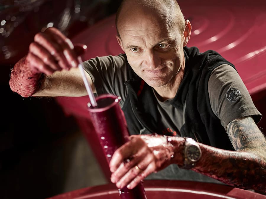 Thierry Constantin octobre 2016, vigneron Ãleveur © sedrik nemeth Bilder Sedrik Nemeth, Kostenpflichtig