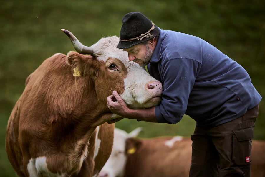 Nicolas Darnauguilhem, chef au restaurant gastronomique La Pinte des Mossettes et son producteur de viande d'Hinterwald, Pascal Tercier, près de Charmey dans le canton de Fribourg, jeudi 19 octobre 2023. (© Gabriel Monnet)