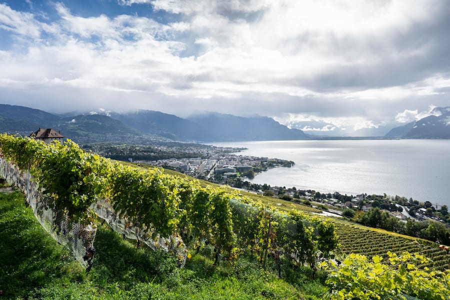 Lavaux, Lac Leman von Chardonne Richtung Vevey