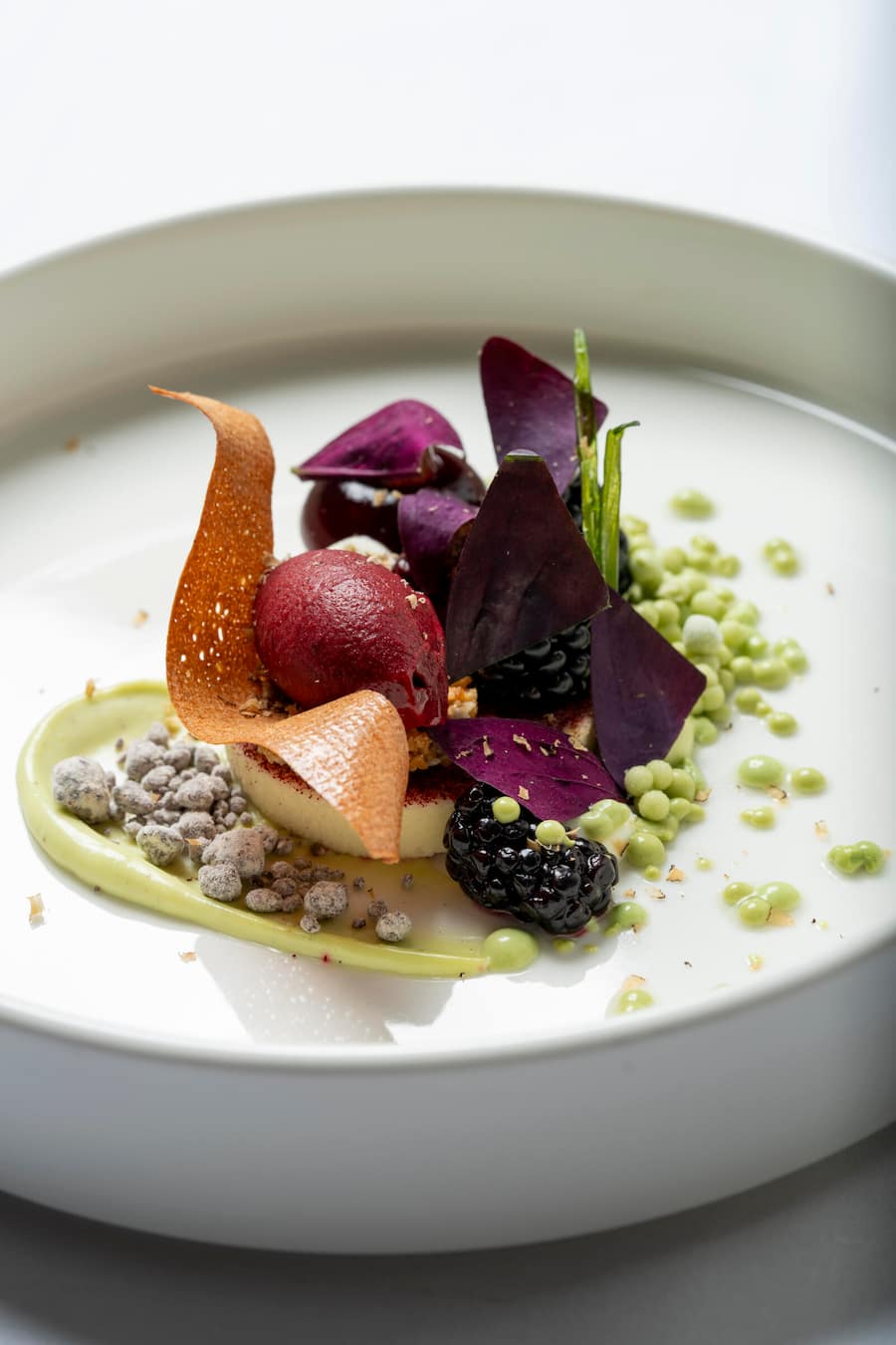 Mercedes Event Wartensee mit Sven Wassmer und Dominik Hartmann, Brombeere , Estragon, Tonka