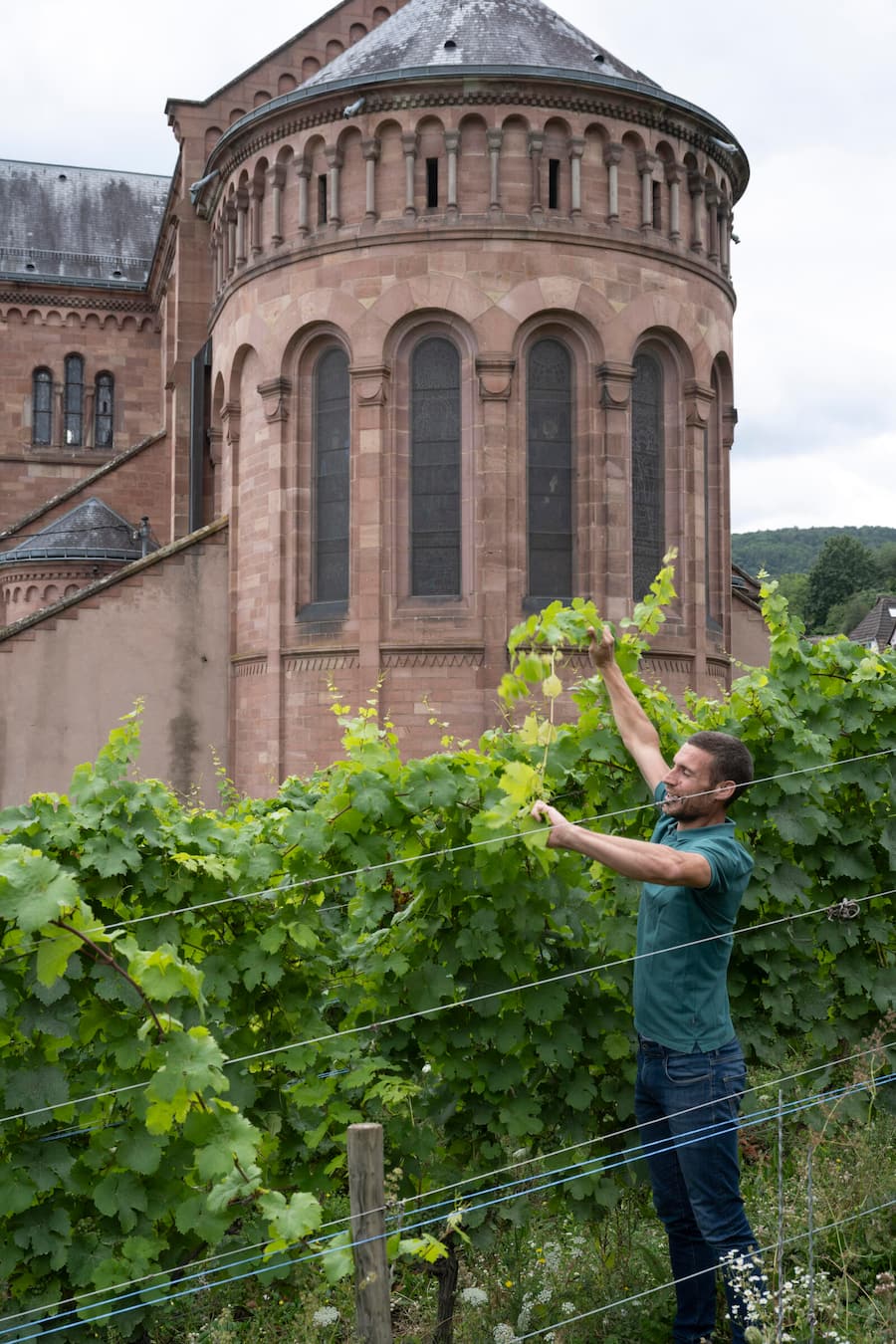 Vincent Gross im kleinen Weinberg zwischen Weingut unf KIrche der zum Grand CRu Goldert gehört