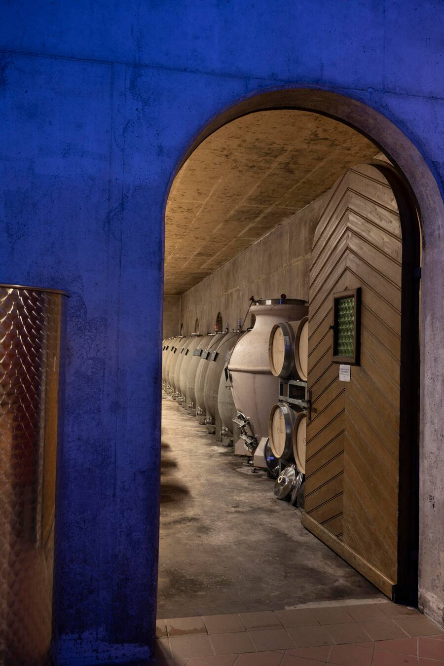 Die Weine werden vor allem in Betonamphoren und Barriques ausgebaut