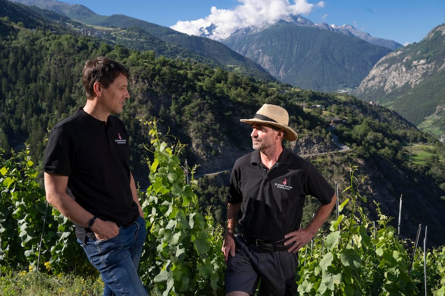 Michael Hock und Rebmeister Richard Stoffel,Visperterminen, Wallis,Valais, Schweiz,Suisse,Svizzera,Switzerland,