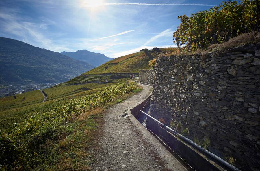 Sion, Bisse de Clavaud © sedrik nemeth