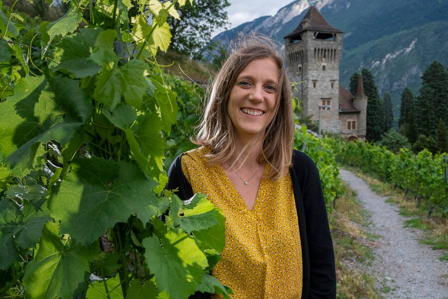 Madeleine Mercier im Weinberg des Château Mercier,Sierre, Wallis,Valais, Schweiz, Suisse, Svizzera,Switzerland, Madeleine Mercier, Weinberg Mercier, Sierre © Hans-Peter Siffert