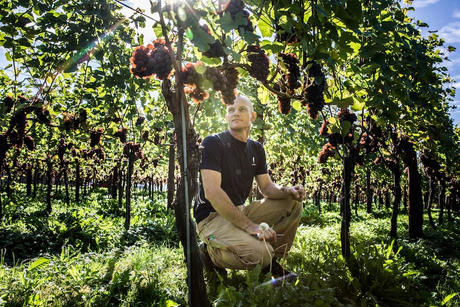 Weingut Erich Meier Uetikon am See 1.Oktober 2019 Esther Michel www.esthermichel.com