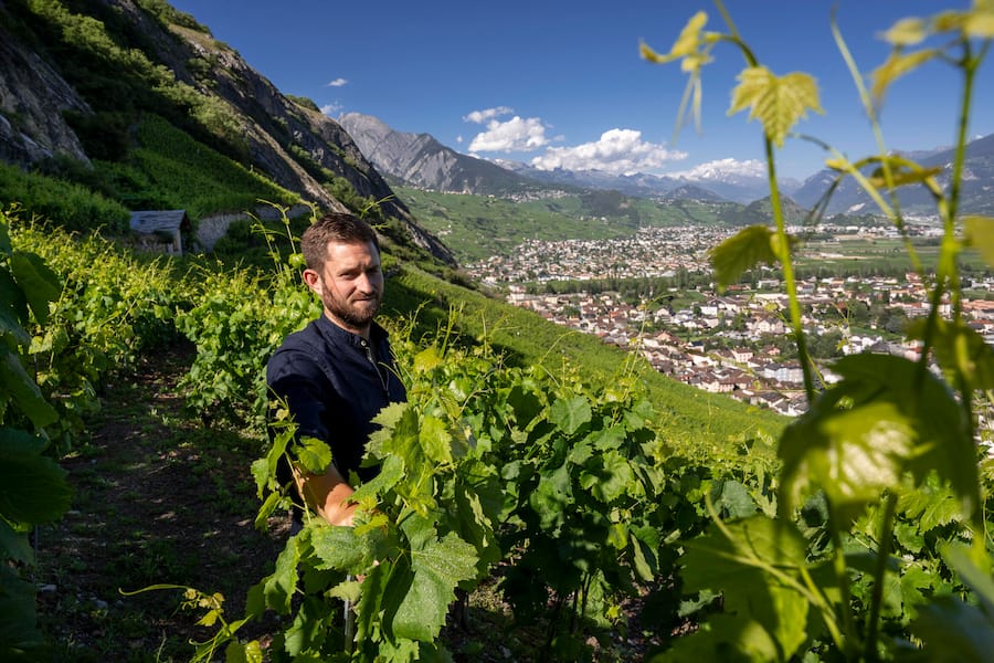 Raphaël Maye im Weinberg,St-Pierre-de-Clages, Wallis,Valais, Schweiz, Suisse, Svizzera,Switzerland, Weingut Maye, Raphael Maye © Hans-Peter Siffert