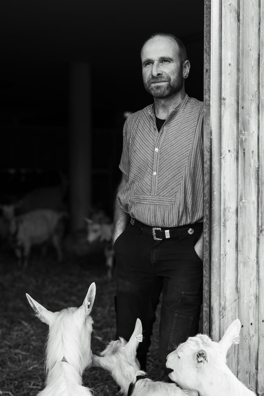 Beni Hollenstein - Chefkoch Peter Pruefer mit Matthias Koch zu Besuch auf dem Ziegenhof - Ziegenkaese aus Appenzell - Appenzeller Huus Bären Gonten - Nov 2023 - Copyright Olivia Pulver