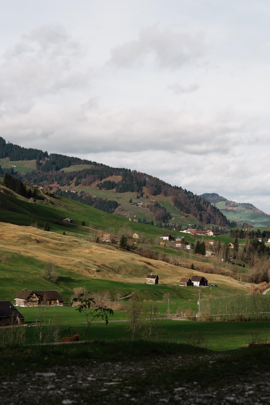 Chefkoch Peter Pruefer mit Matthias Koch zu Besuch auf dem Hof von Beni Hollenstein - Ziegenkaese aus Appenzell - Appenzeller Huus Bären Gonten - Nov 2023 - Copyright Olivia Pulver