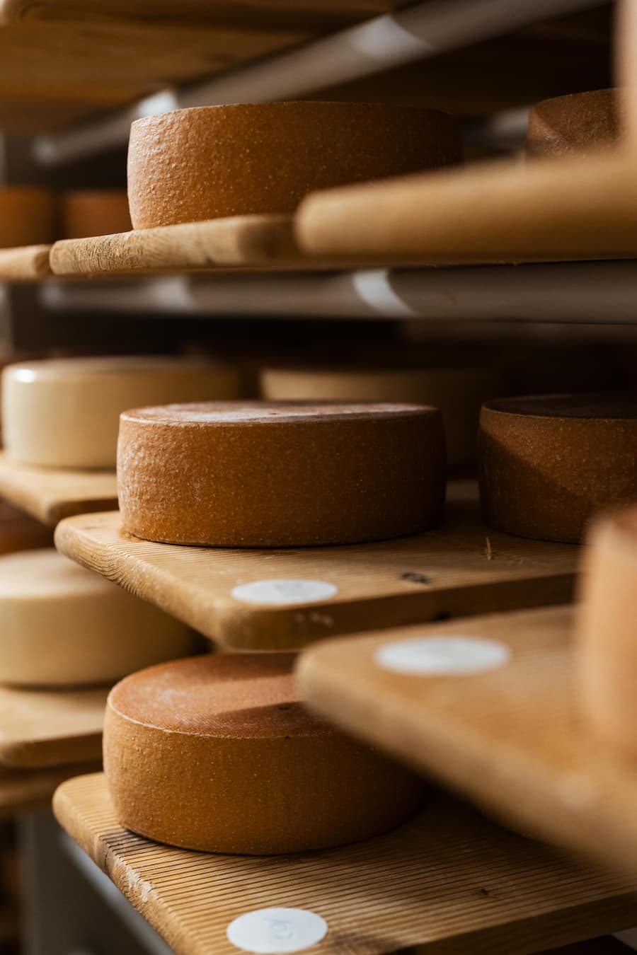 Chefkoch Peter Pruefer bsucht die Käserei von Matthias Koch - Ziegenkaese aus Appenzell - Appenzeller Huus Bären Gonten - Nov 2023 - Copyright Olivia Pulver