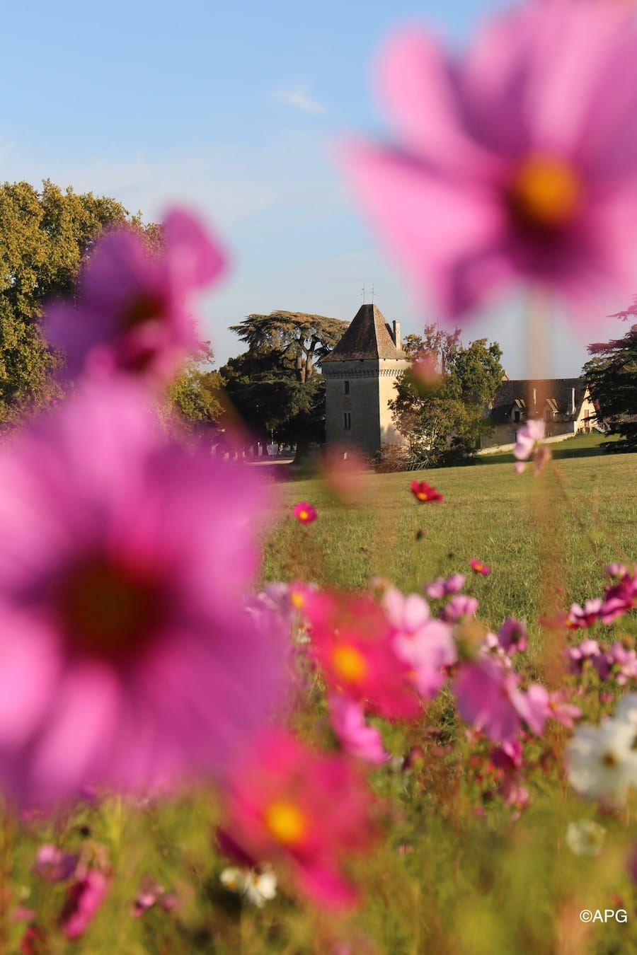 ChAC/teau Montlau, Armand Schuster de Ballwil, Weingut in Moulon, Frankreich, FRA