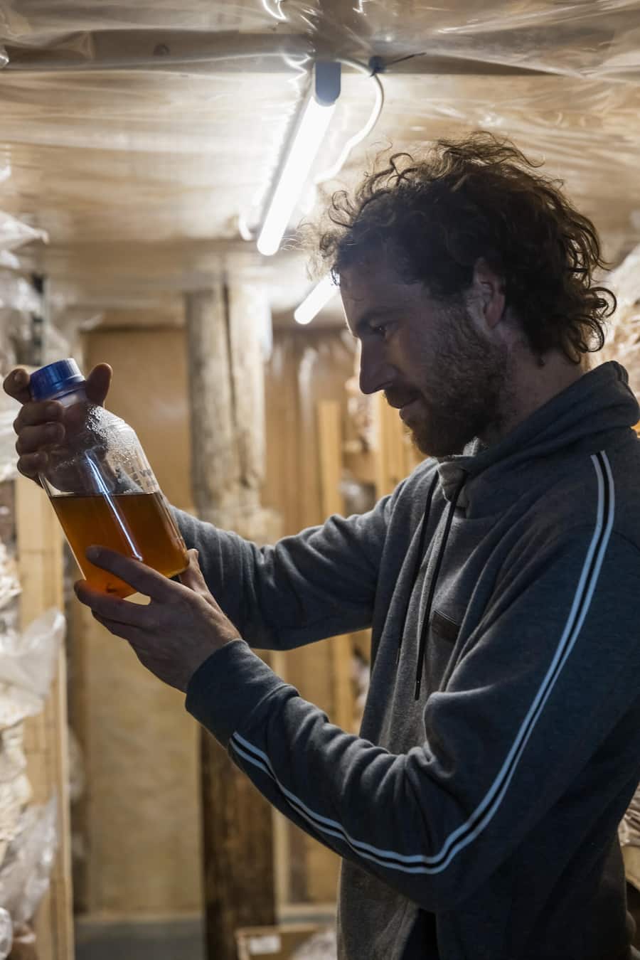 Fungifuturi, Steffisburg, BE fotografiert am 1.11.23