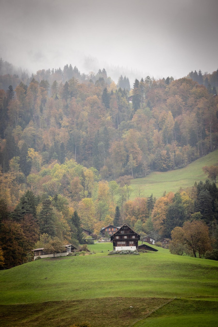 Besuch bei Noldi Windlin, Käser in Giswil OW