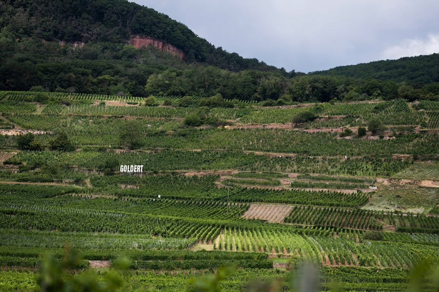 Grand Cru Lage Goldert