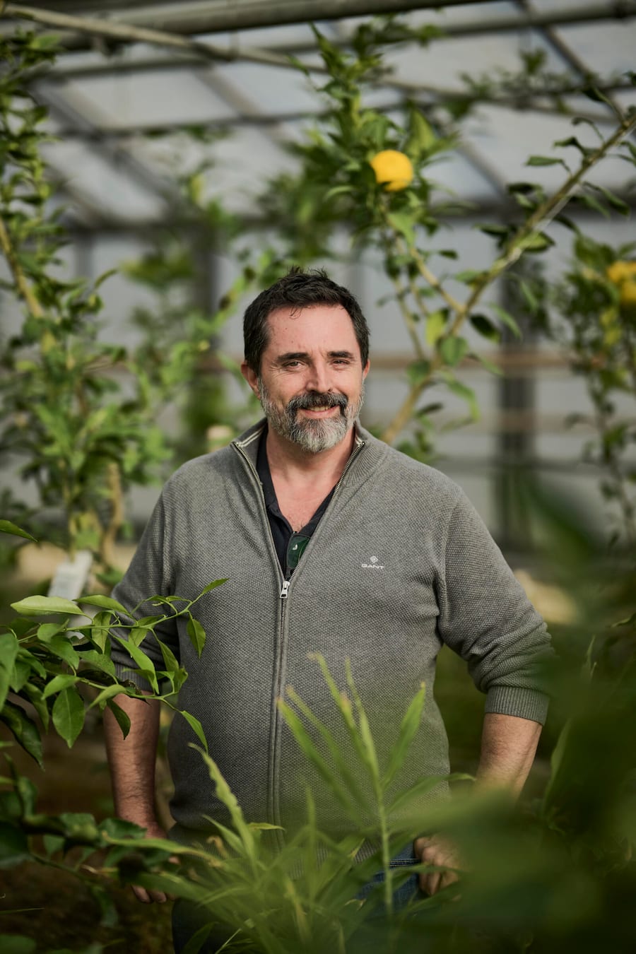 Niels Rodin, cultivateur de citrons en Suisse photographié à la "Ferme aux agrumes", mardi 7 novembre 2023 à Borex près de Nyon. (© Gabriel Monnet)