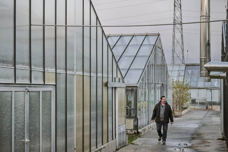 Niels Rodin, cultivateur de citrons en Suisse photographié à la "Ferme aux agrumes", mardi 7 novembre 2023 à Borex près de Nyon. (© Gabriel Monnet)