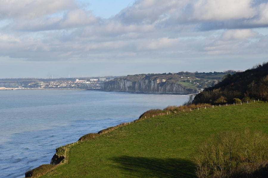 Bianchi: Jakobsmuschel Byline: Bely / Bianchi