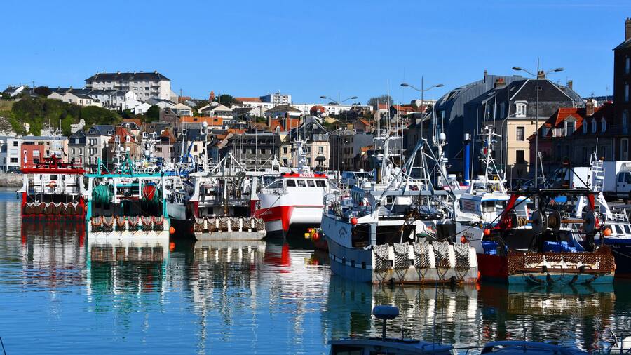 Bianchi: Jakobsmuschel Bianchi: Jakobsmuschel Byline: Bely / Bianchi