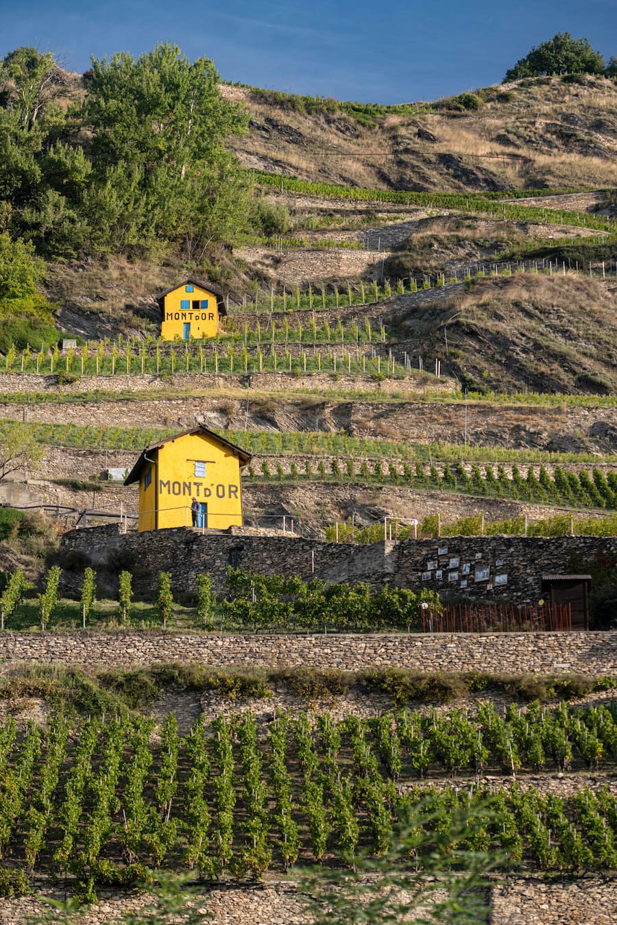 Der Mont d'Or mit den gelben Häuschen, historisches Element