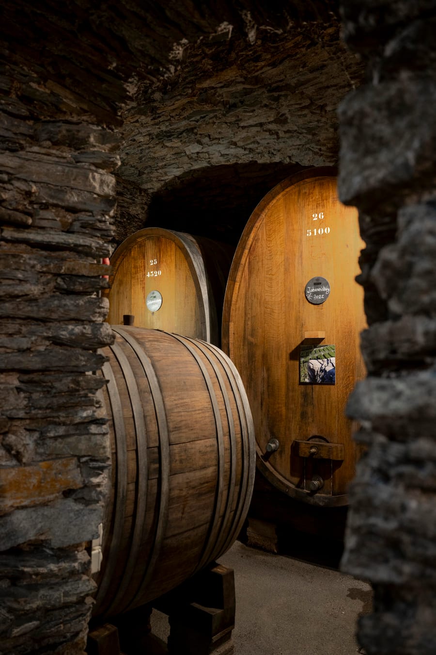 der historische Keller wird immer noch zumAusbau von Wein benutzt