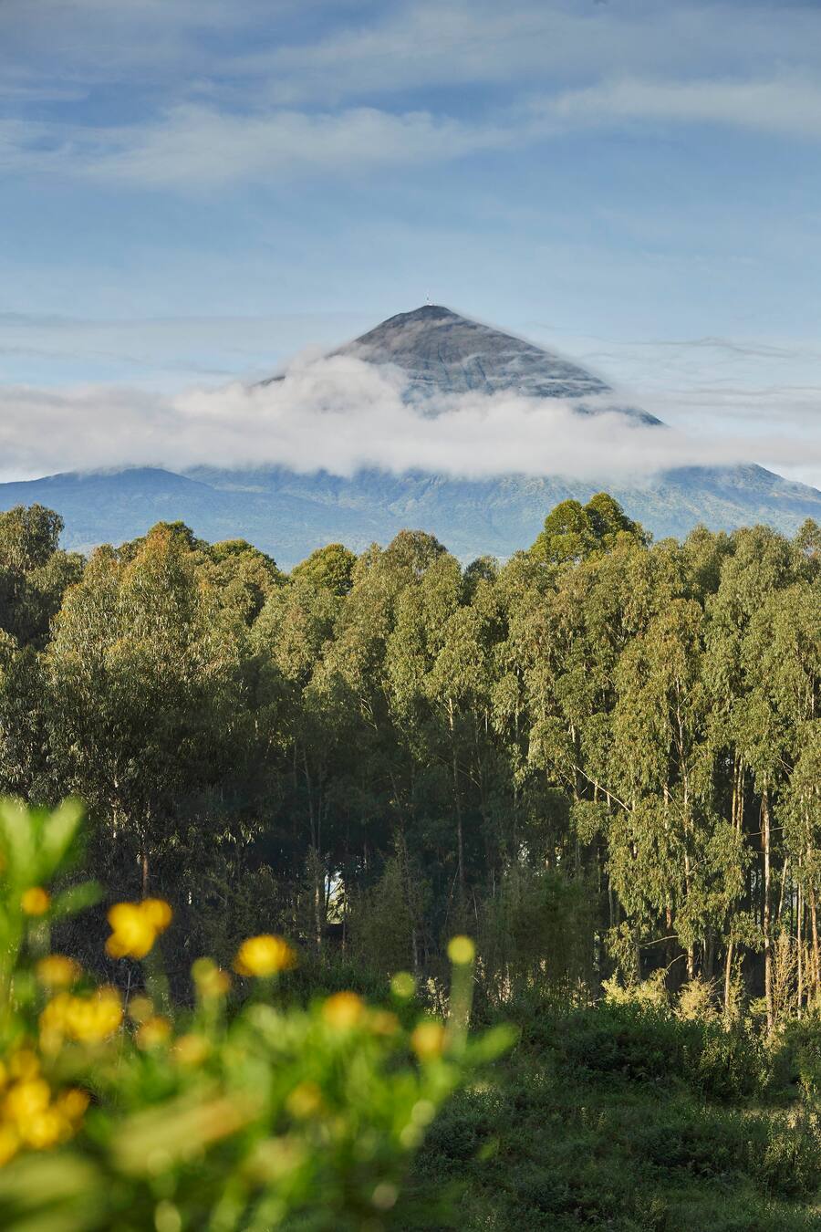 One&Only Gorilla's Nest Logo, Luxury Jungle Resort, Ruanda, RWA