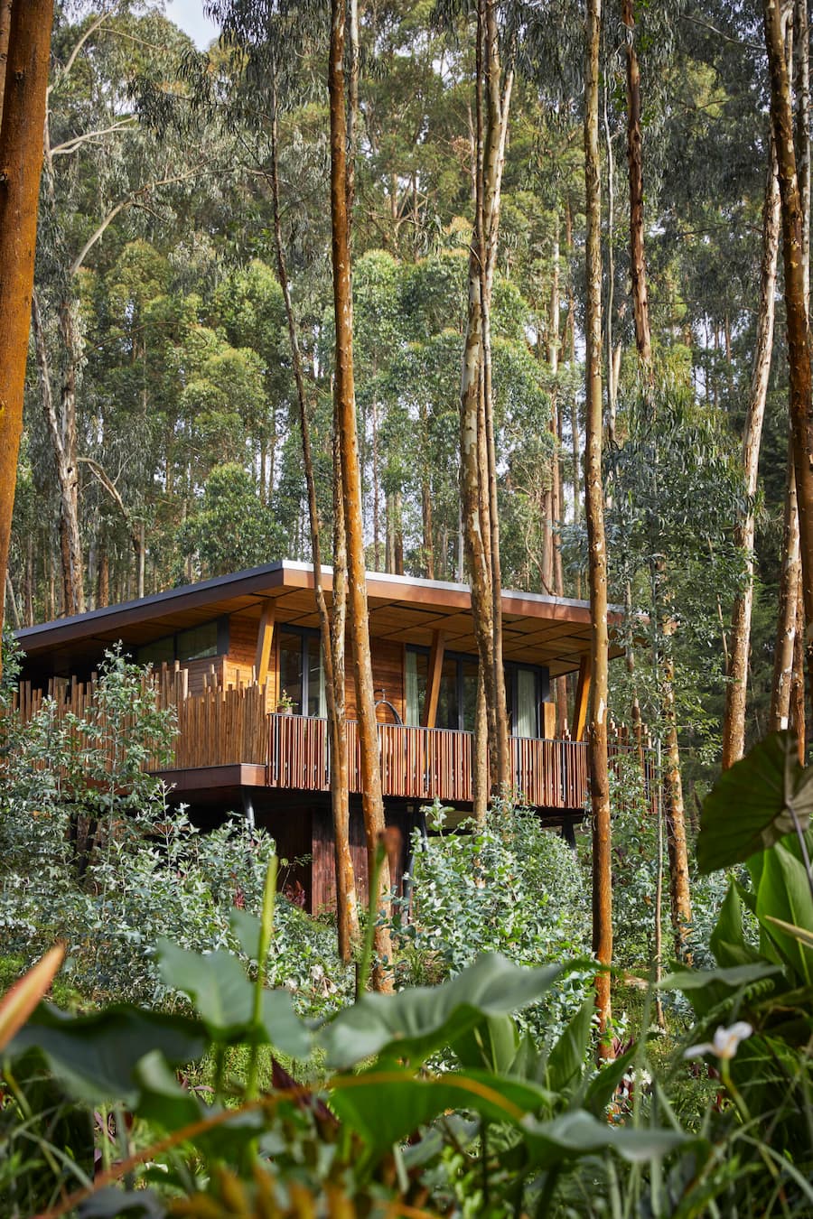 One&Only Gorilla's Nest Logo, Luxury Jungle Resort, Ruanda, RWA