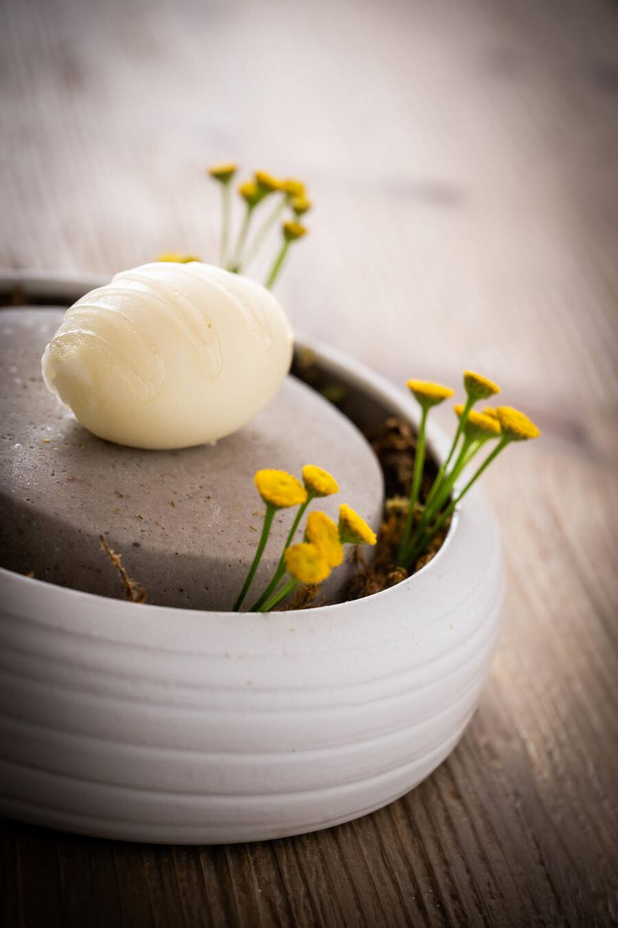 Elegant: Rainfarnsorbet