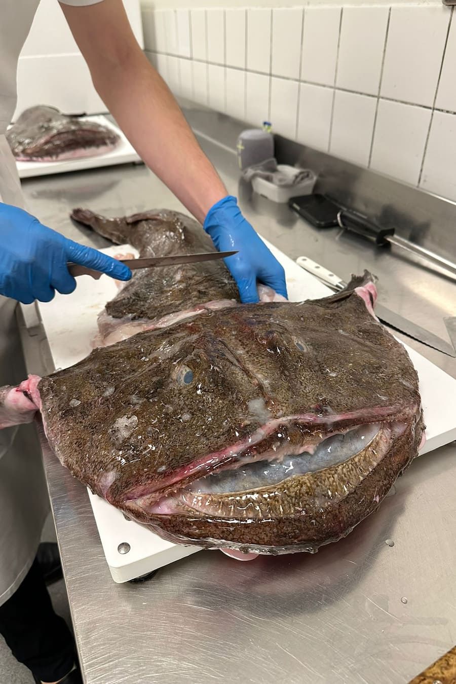 Raul Garcia Geranium Kopenhagen