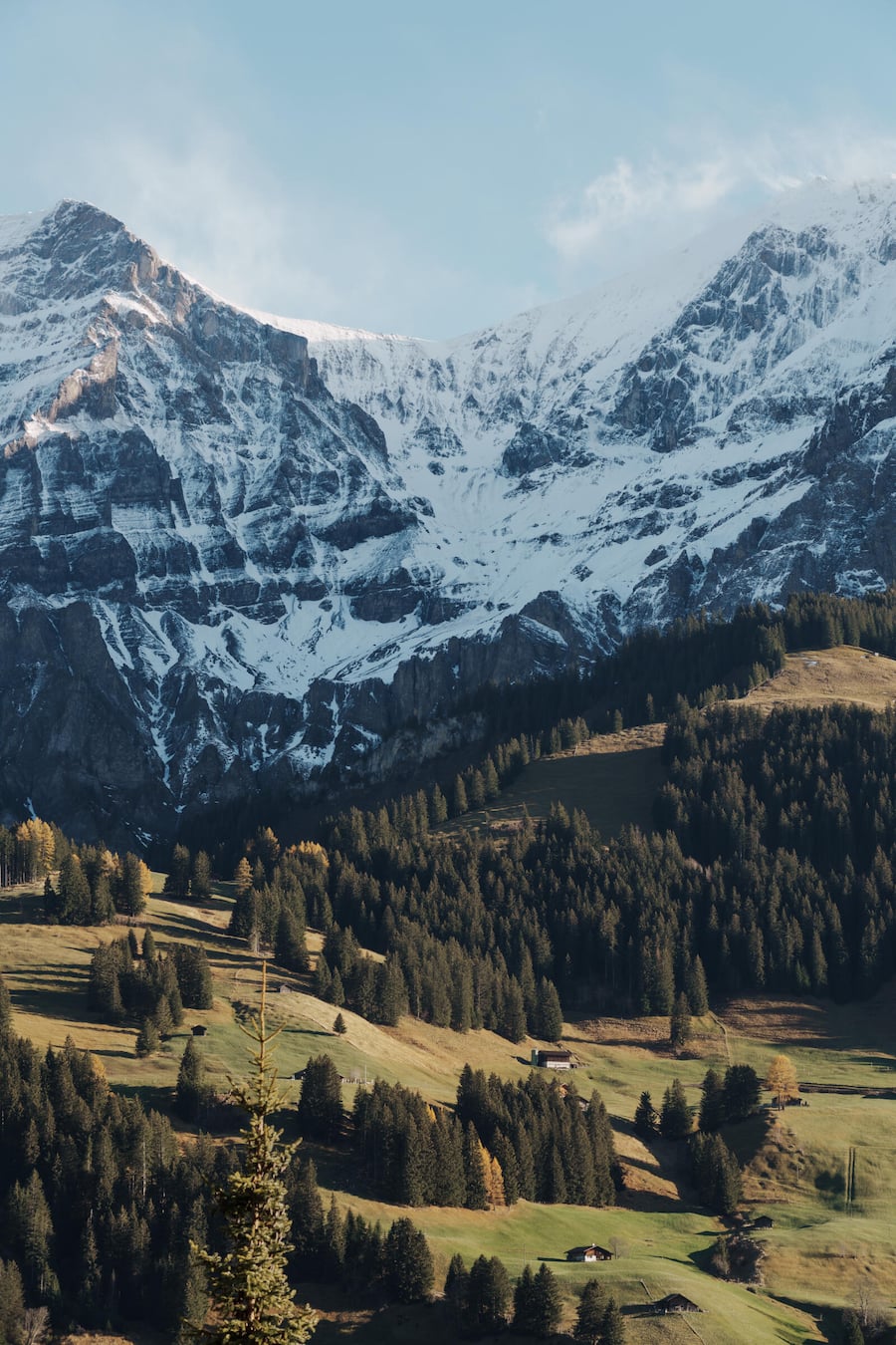 S.Zimmer Adelboden, Stefan Zimmermann - Nov 2023 - Copyright Olivia Pulver