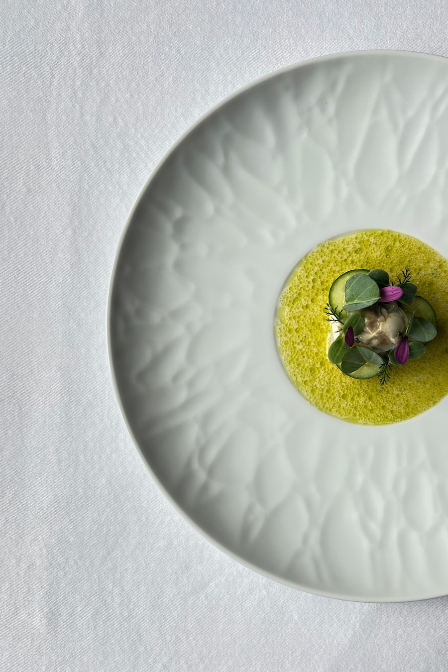 Vorspeise: Forelle, Rauchfisch, Auster, Kalamansi