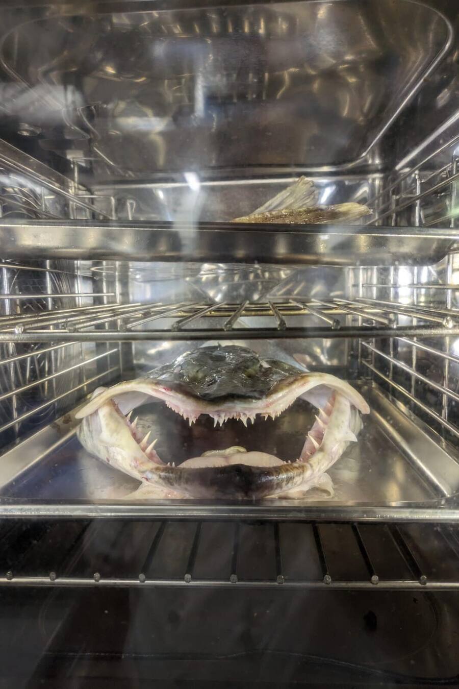 Beat Bürli, Hechtfang, Wildenmann Buonas, Restaurant am Zugersee, ZG