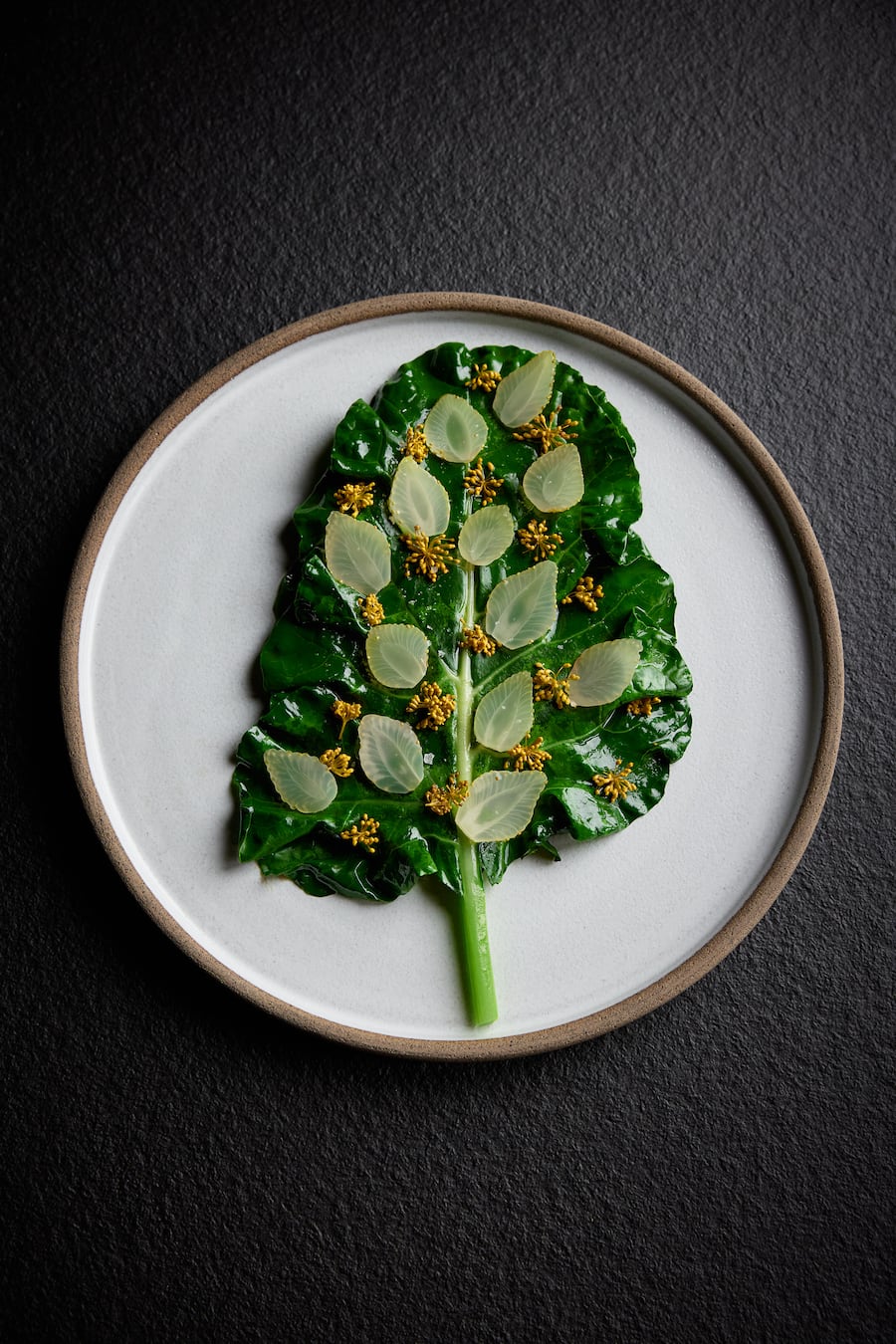 Broccoli-Blatt Villa Hundert