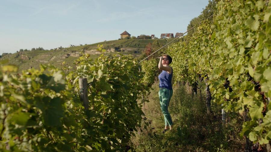 Film Blend Malika Pellicioli Johanna Dayer Master of Wine Journées de Soleure