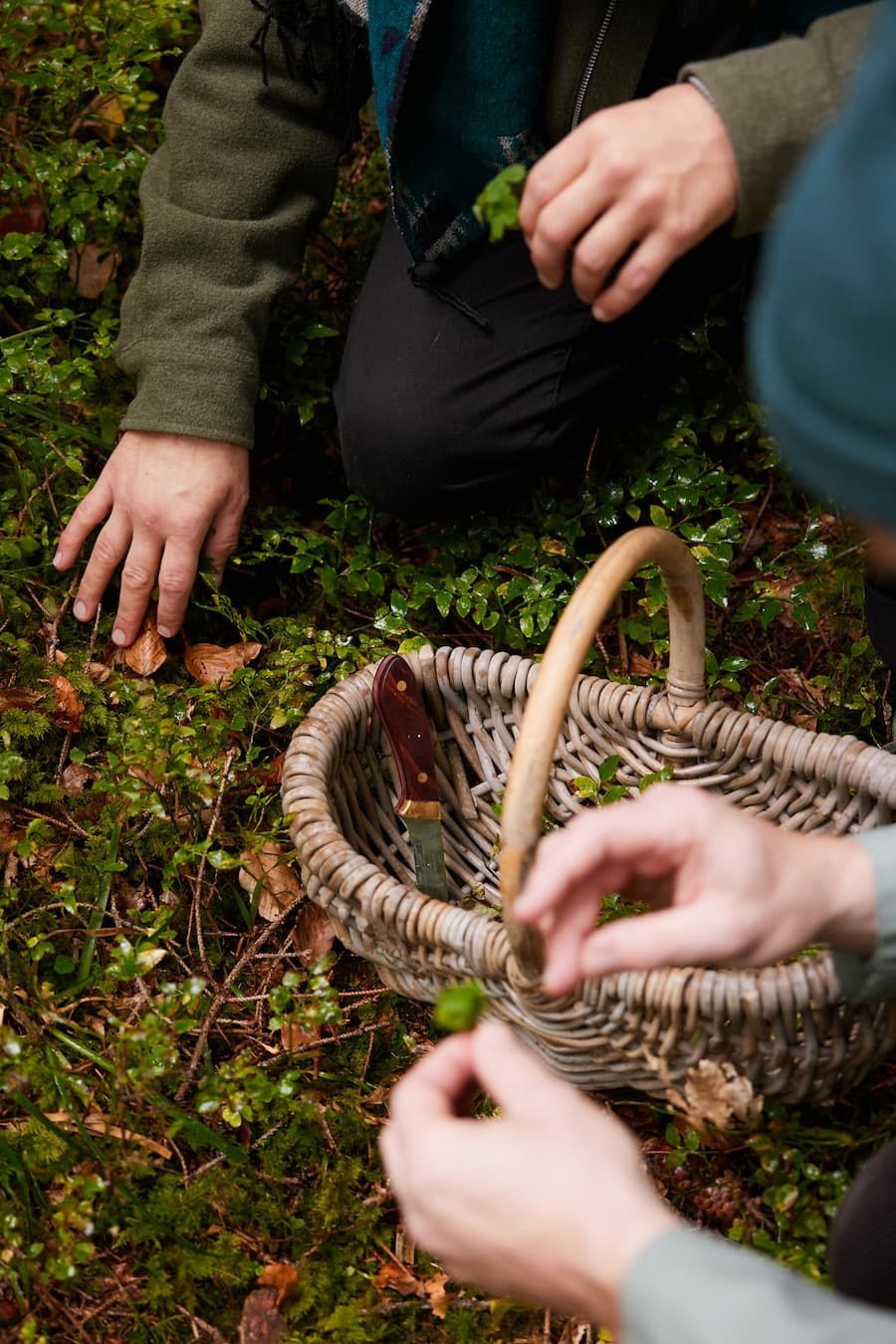 Kräutersammeln Villa Hundert