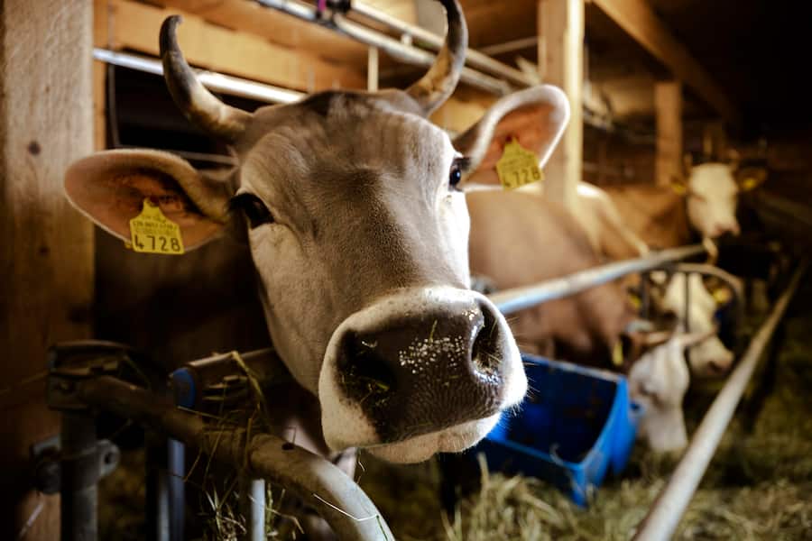 HO Byline Destination Gstaad | Melanie Uhkötter