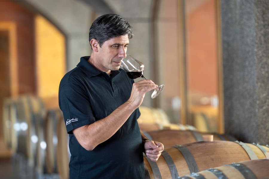 Adrian Lüthi, Weingut Schmidheiny