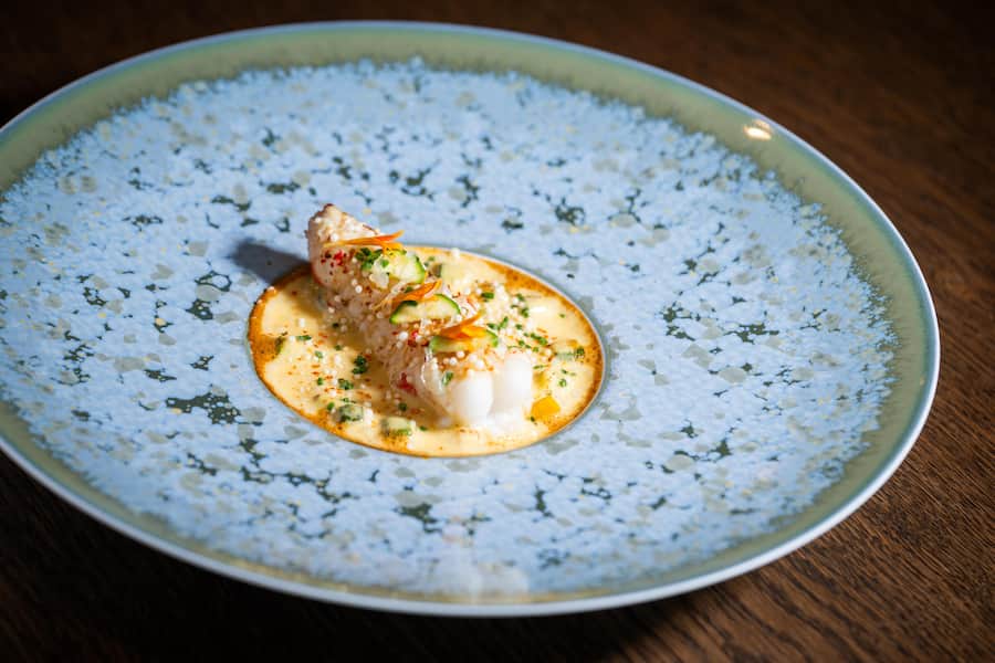 Chefs D.Sato und F.Toffalon kochen fuer Davidoff 2023: Norway Lobster, , Miso, Zucchini, Citrus