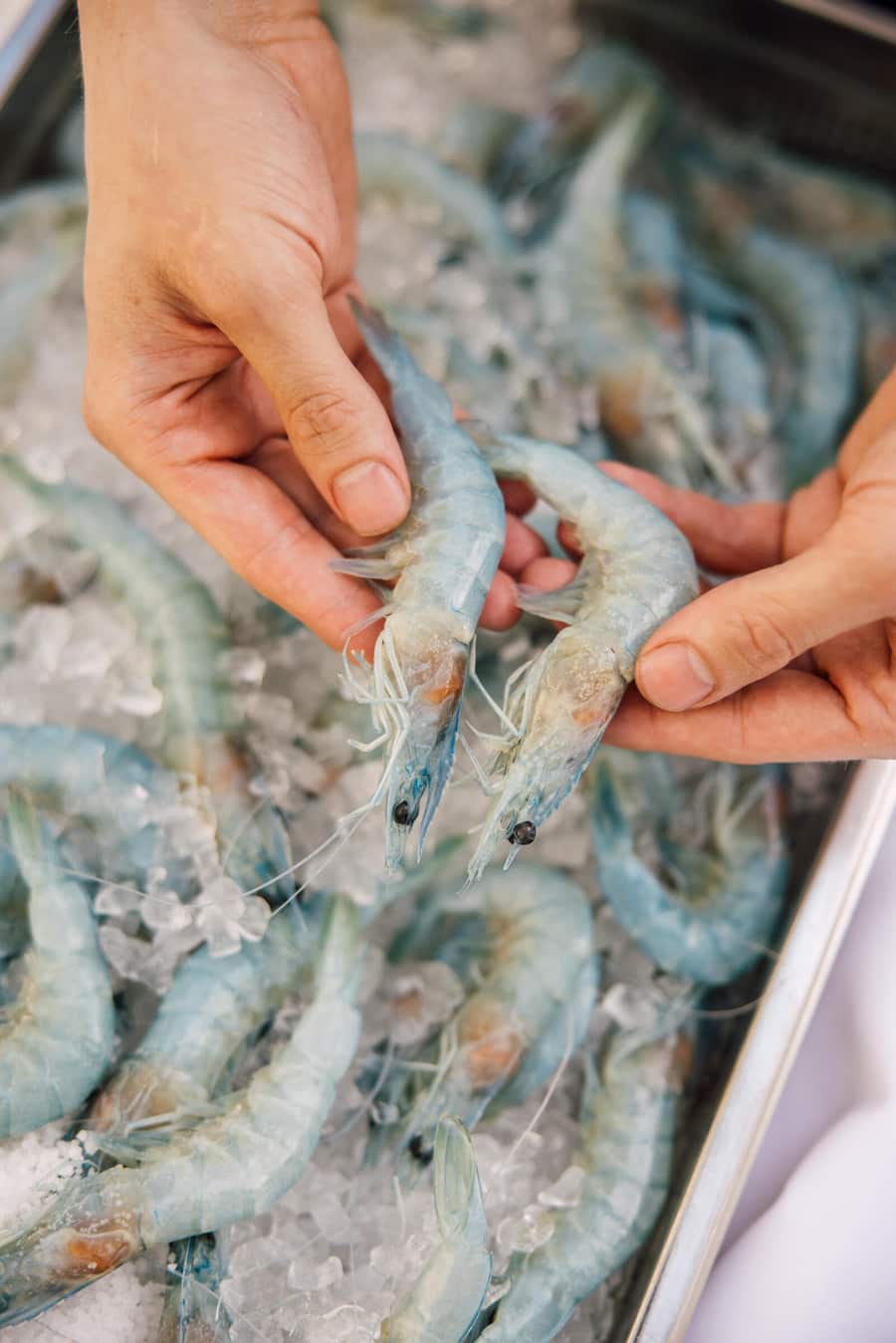 GaultMillau Garden Party 2022, Grand Resort Bad Ragaz, SG Twins and Shrimps - Fabio Toffolon und Dominik Sato von Swiss Shrimp und ihre Gerichte. Einmal mit Vin Jaune und einmal als Ceviche.