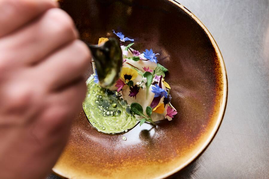 Leguriviera Frischer Basel Roots