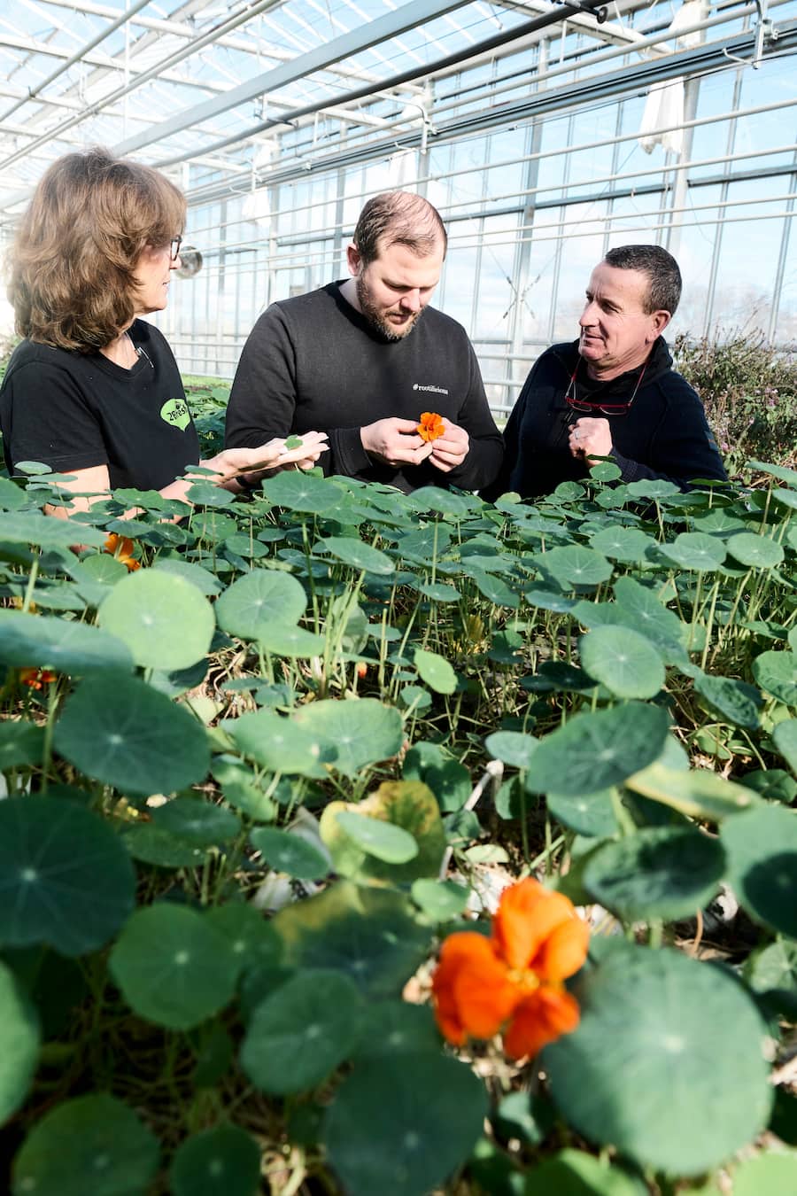 Leguriviera Frisher Roots Basel Pascal Streffen