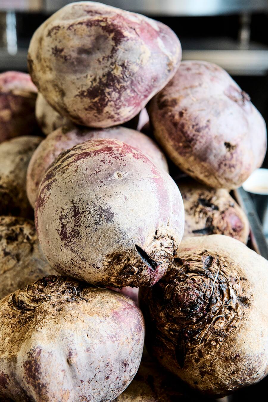 Leguriviera Frisher Roots Basel Pascal Streffen