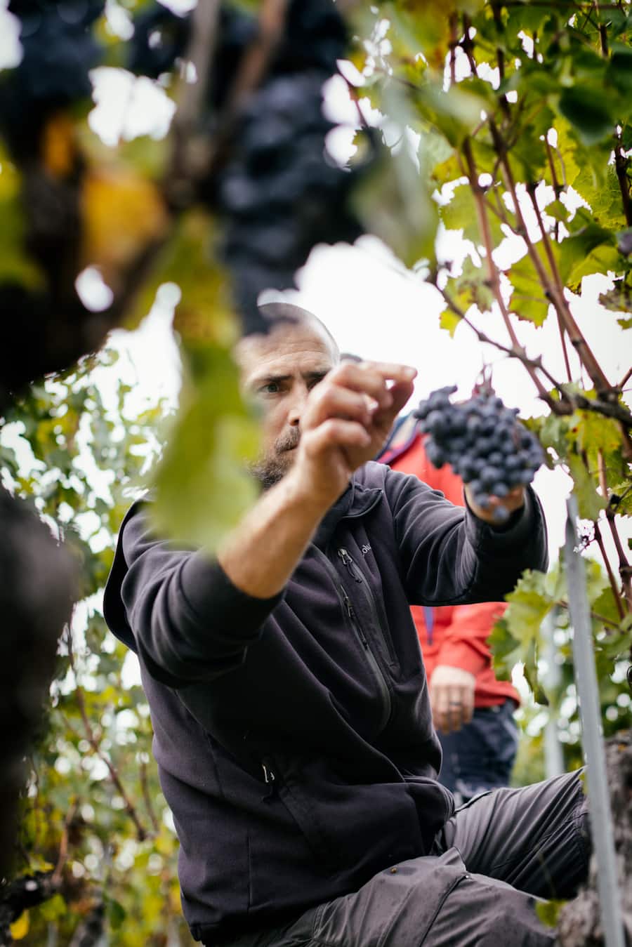 Les Trois Terres servagnin Morges Laurent Bally