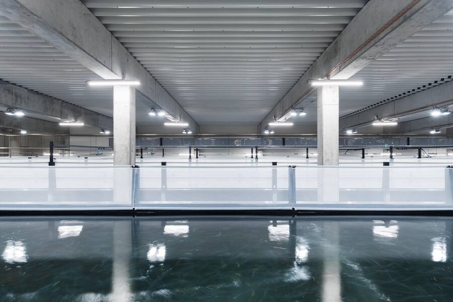 Zuchtbecken SwissShrimps